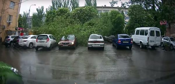 Два человека пострадали при падении дерева на остановку в Ростове: видео